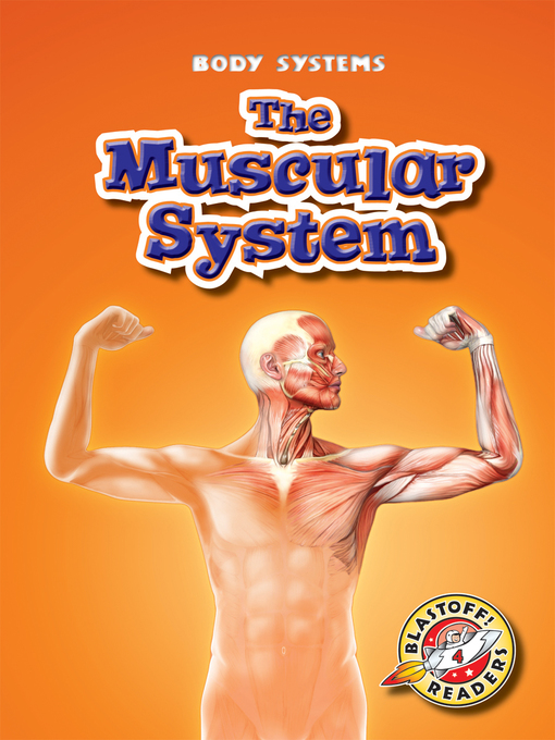 Title details for The Muscular System by Keith McCarthy - Available